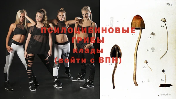 дурь Богородицк