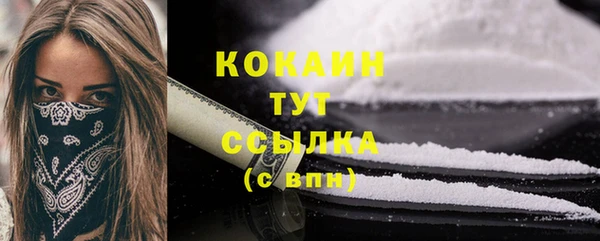 прущий лед Богданович