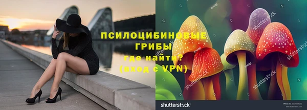дурь Богородицк
