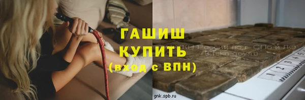 прущий лед Богданович