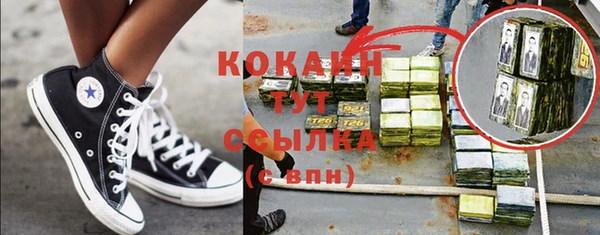 прущий лед Богданович