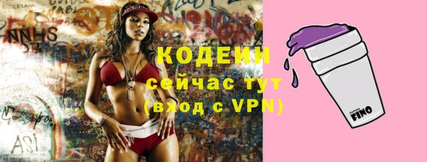 дурь Богородицк