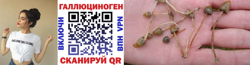 Галлюциногенные грибы ЛСД  Макаров 
